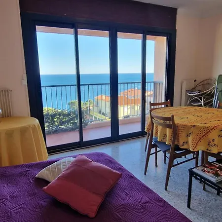 T3 A Banyuls-sur-mer, Loggia, Parking Securise - Fr-1-309-62 *